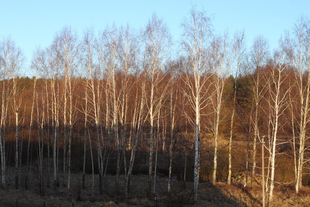 Forest Apartment Palanga Luaran gambar